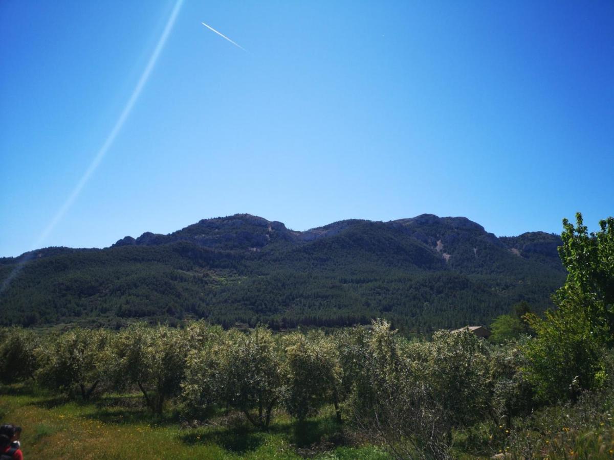 L'Antic Forn De Pauels Villa Екстериор снимка