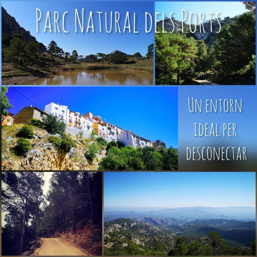L'Antic Forn De Pauels Villa Екстериор снимка